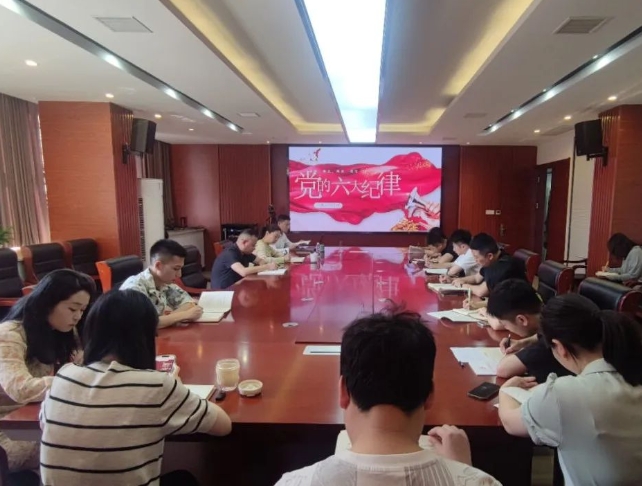 恪守“六大紀(jì)律”，筑牢思想根基--市古鎮(zhèn)投資公司行政黨支部組織開展黨記學(xué)習(xí)教育專題黨課
